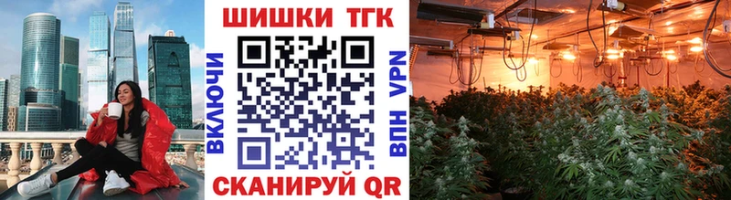 Канабис ГИДРОПОН  купить   Вяземский 